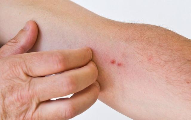 3_1608084569176940918.jpeg 3873f94b84eb4826a795a7de1e2e208a.jpeg