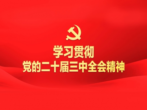 專(zhuān)題丨學(xué)習(xí)貫徹黨的二十屆三中全會(huì)精神